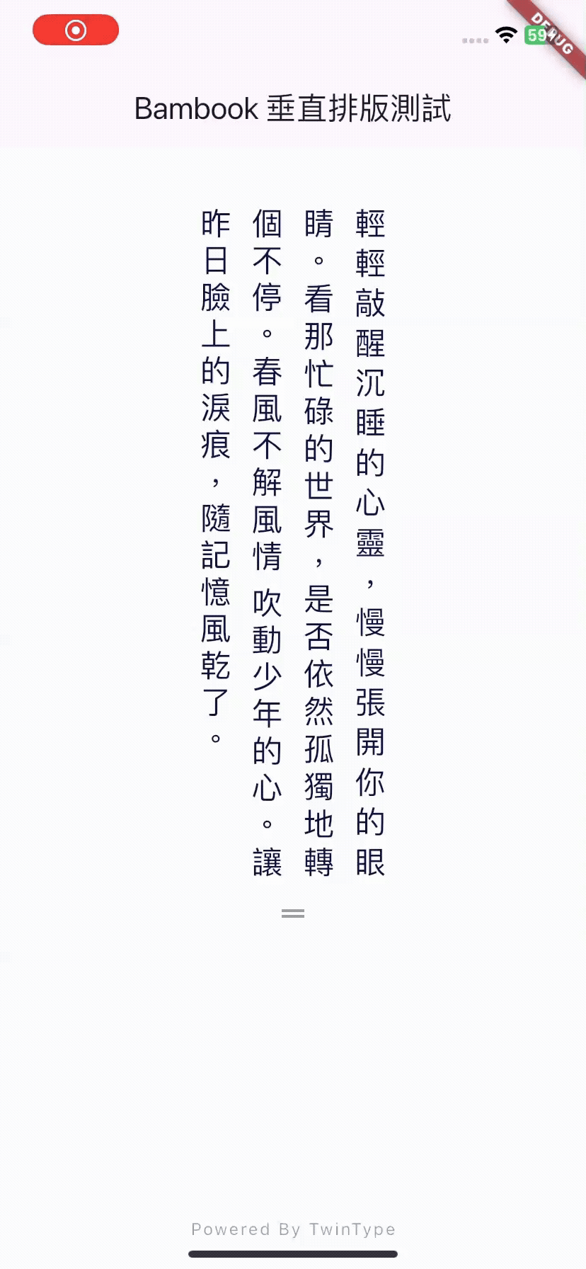 預覽